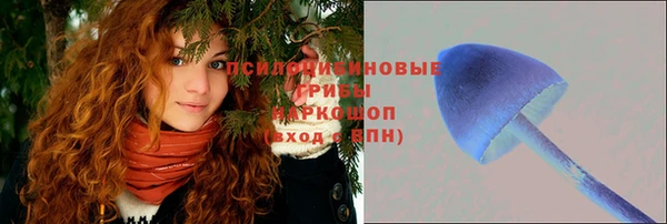 МДМА Приозерск