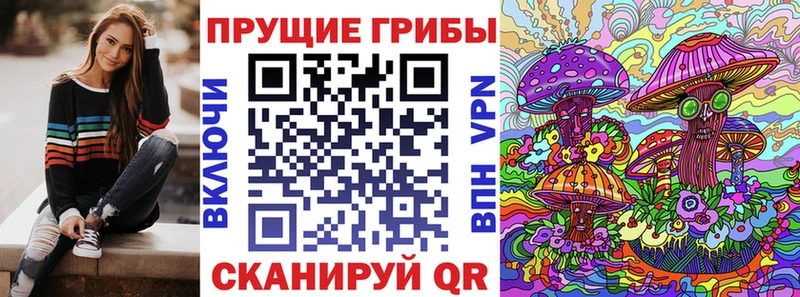 MEGA ONION  Мезень  Псилоцибиновые грибы прущие грибы 